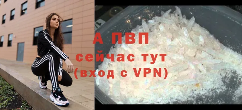 A-PVP СК КРИС Кинешма